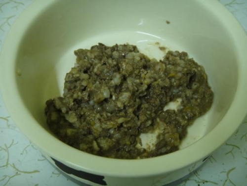 catfood_2012b