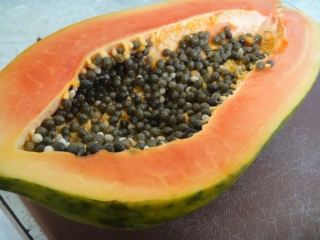 dsc01929_red-papaya_sept_2011
