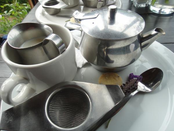 img_3972c_ashcombemazelavendergardens