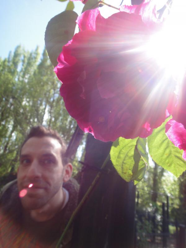 img_3987e_ashcombemazelavendergardens