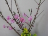 ume2