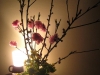 ume3